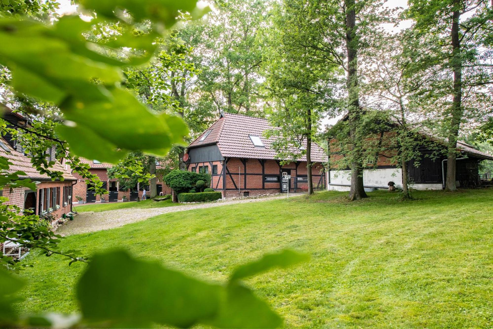 Traumhaftes Anwesen In Der Lueneburger Heide Leilighet Soltau Eksteriør bilde