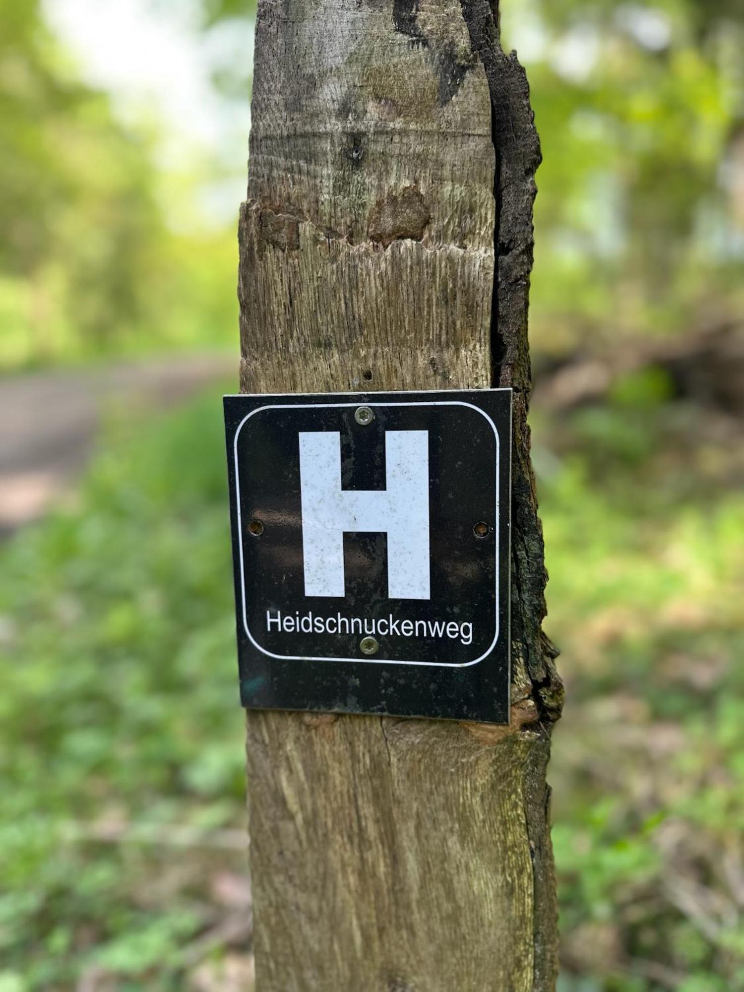 Traumhaftes Anwesen In Der Lueneburger Heide Leilighet Soltau Eksteriør bilde